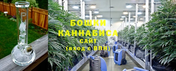 прущий лед Бородино