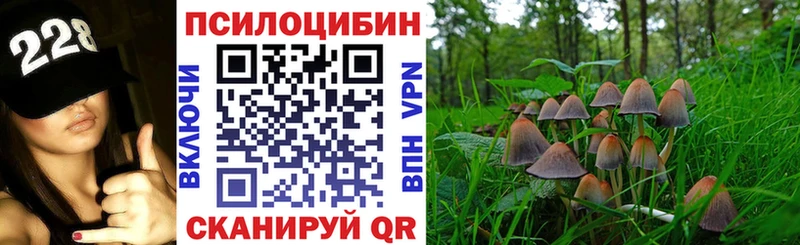 купить закладку  Калач  Псилоцибиновые грибы ЛСД 